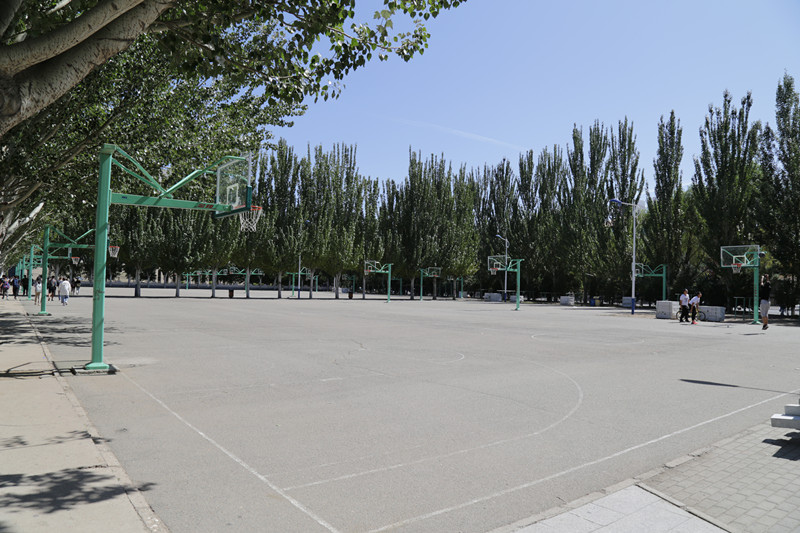 云南农业大学篮球场图片